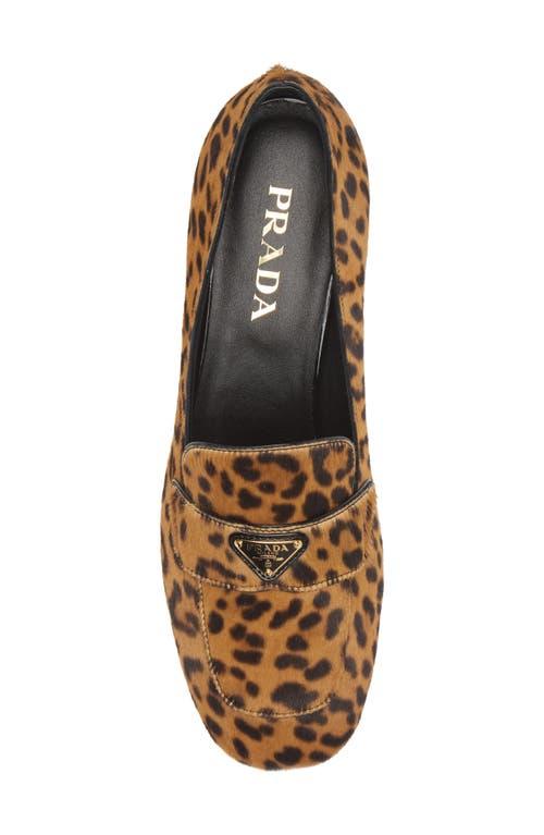 prada-Miele-Print-Calf-Hair-