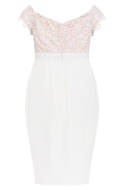 knee length dresses for ladies retroféte Women's Cicely Lace Dress - Black main image 0