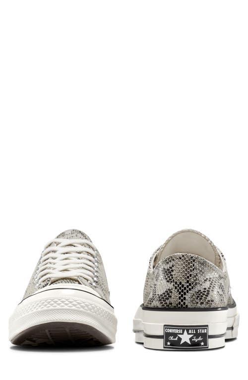 Snakeskin Sneakers Snakeskin Converse Low Converse X Stüssy Chuck