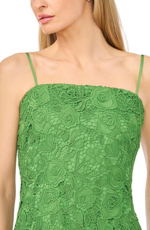 ted baker green lace dress Ted Baker London Malorie Lace Tube Dress - Green Bee