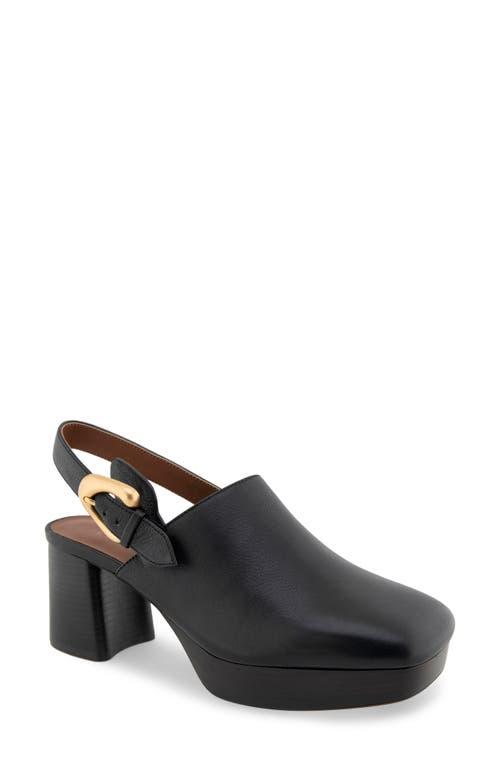 Aerosoles slingback shoes best sale