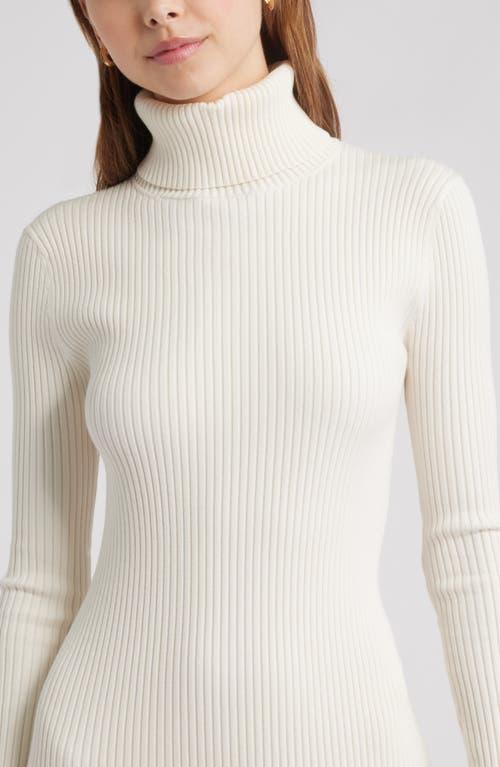 rib long sleeve turtleneck sweater dress open edit Rib Long Sleeve Turtleneck Sweater Dress (Women)