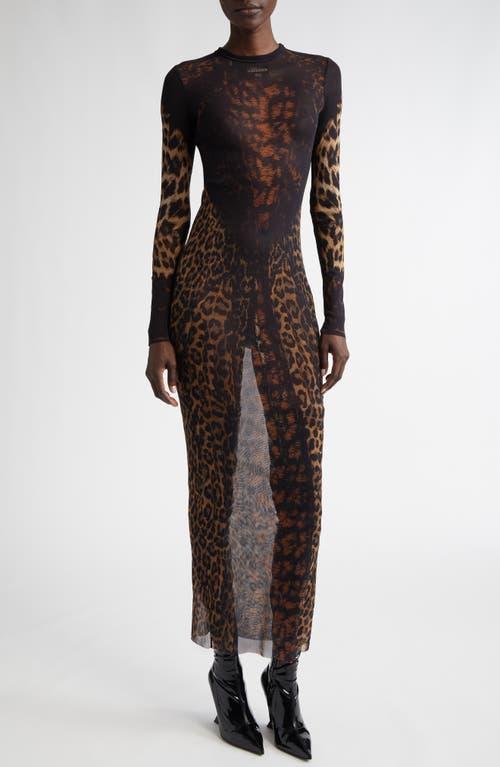 Jean Paul Gaultier Leopard Print Mesh Long Sleeve Dress in Black | Lyst Jean Paul Gaultier Leopard Print Mesh Long Sleeve Dress in Black | Lyst