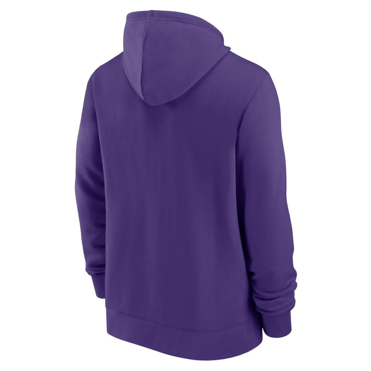 Men's Nike Gray Minnesota Vikings Sideline Property of Performance Pullover  Hoodie