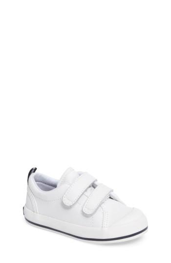 keds graham hook and loop