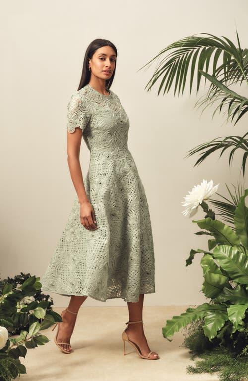 ted baker mint lace dress Ted Baker London Lorelai Circle Skirt Dress In Mellow Mint