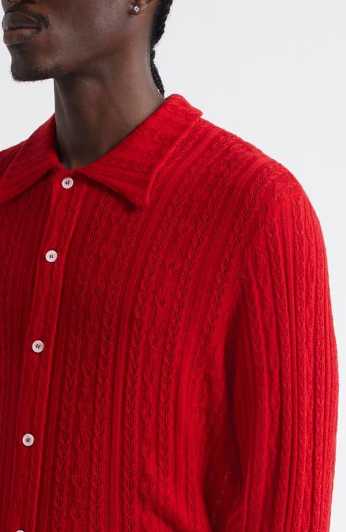 sefr-Ruby-Merino-Riku-Merino-