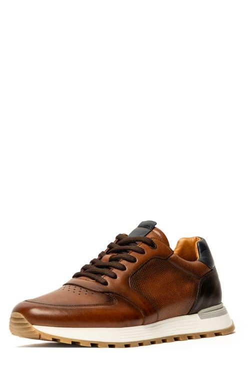 Brown Leather Sneakers Nordstrom Mens Sneakers Brown Rodd Gunn