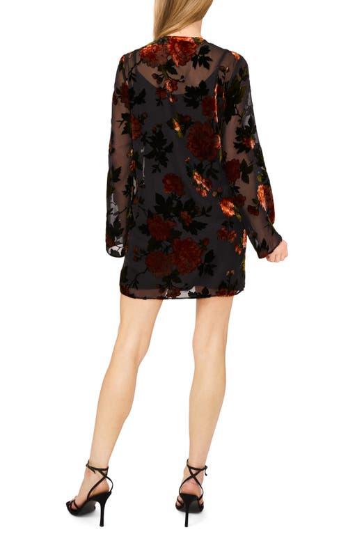 Ted Baker Mini and short dresses for Women | Online Sale up
