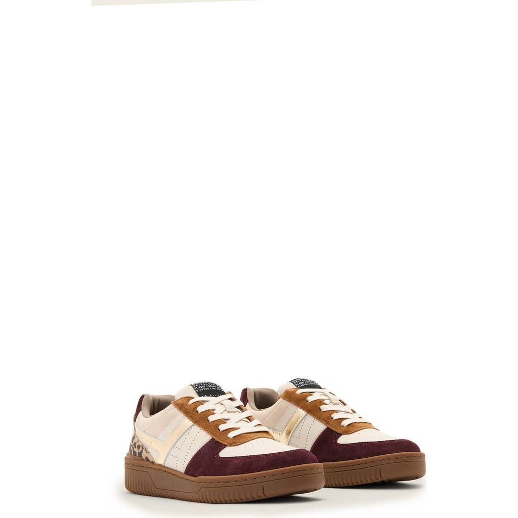 (取寄) オールセインツ レディース ネビス スニーカー AllSaints women Nevis Sneakers Titan Red AllSaints Sneakers for Women | Online Sale up to 61% off | Lyst