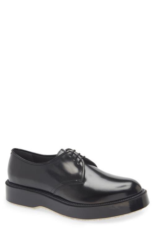 Black Type 54C Derbys by Adieu on Sale