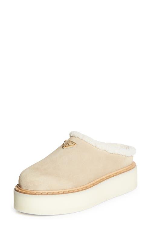PRADA 25S CLOGS IN BEIGE SHEARLING