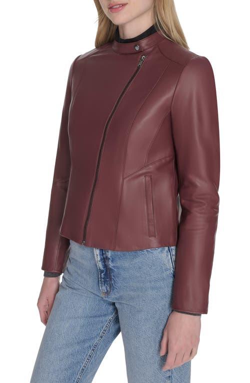 【Cole Haan】ジャケット/ Women's Curved-Seam Leather Jacket Women's Curved-Seam Leather Jacket in Brown | Cole Haan