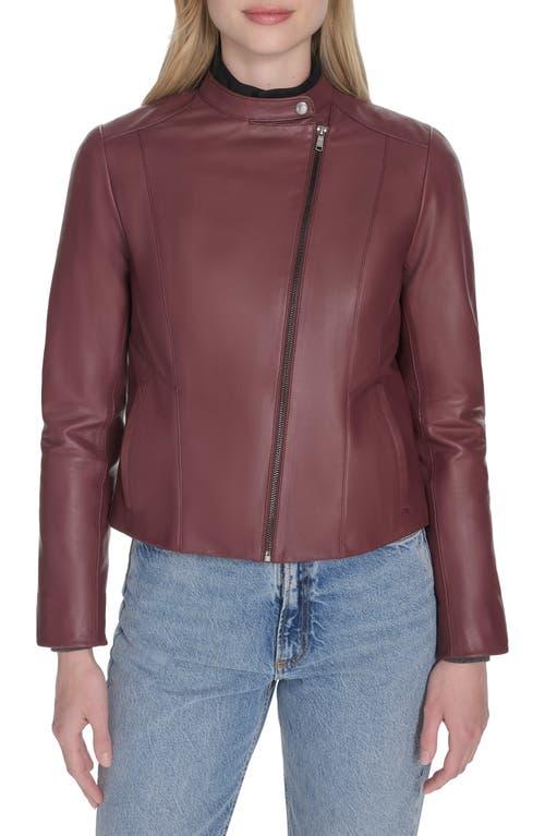 【Cole Haan】ジャケット/ Women's Curved-Seam Leather Jacket Cole Haan Women's Racer with Quilted Panels Leather Jacket