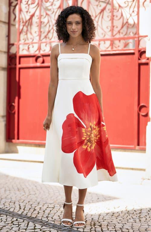 knee length dresses for ladies Dubarry Suncroft Dress