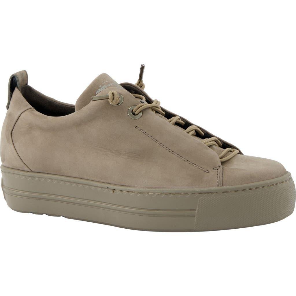 Leather Sneaker Amazon Sneaker Paul Green Super Soft Paul Green