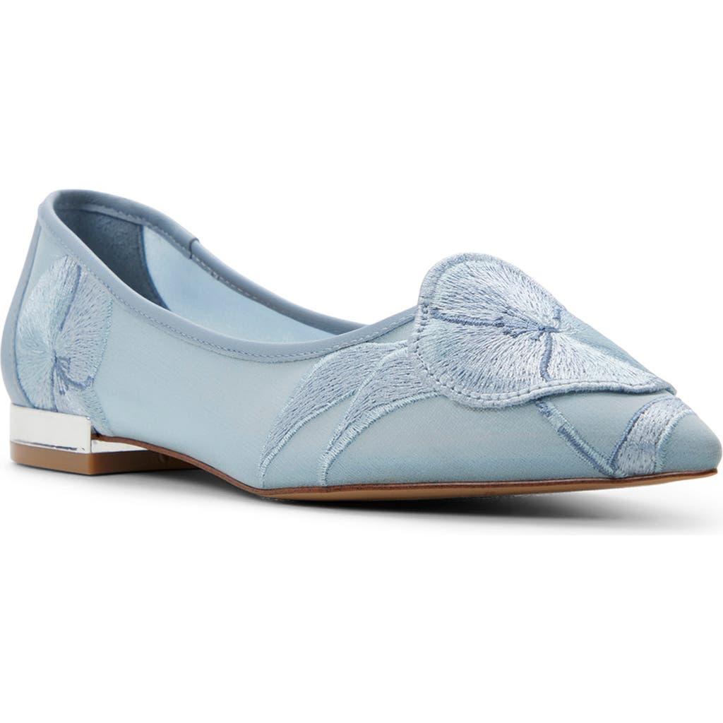 Bailarinas Ted Baker 259142 Écru | Zapatos.es