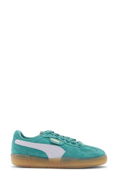 Puma Suede Puma Sportstyle Prime Storm Street PUMA Sneakers For