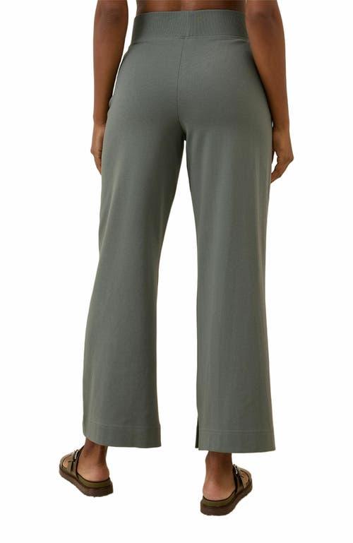 Pact Organic Cotton Airplane Wide Leg Pant in Green Lyst
