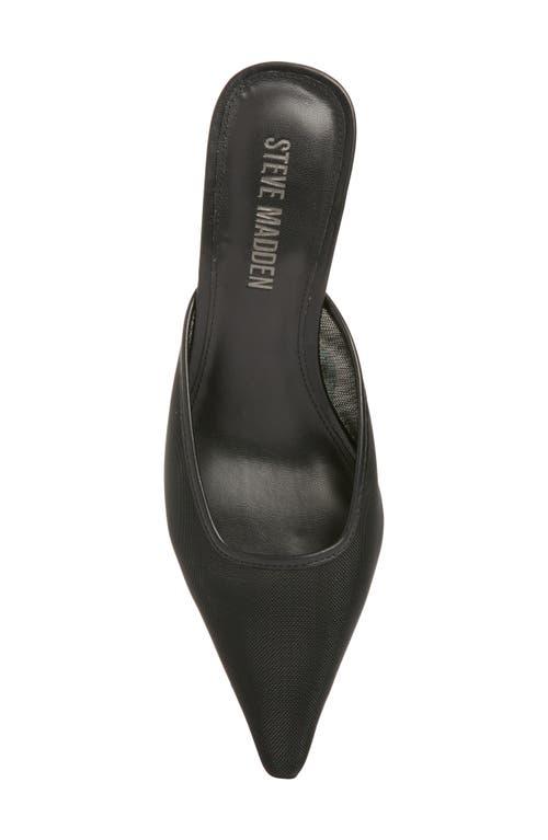 Steve Madden Lisbeth Pointed Toe Mule in Black Lyst