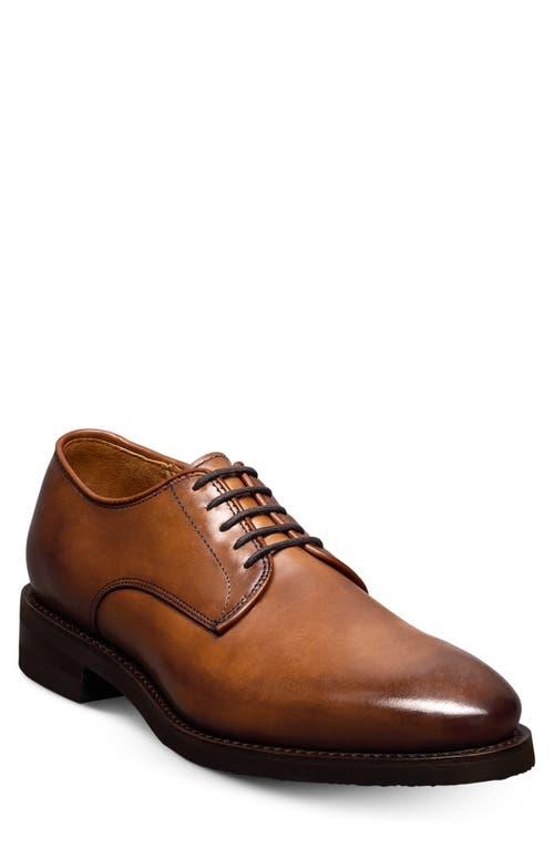 Allen Edmonds Oxford shoes for Men | Online Sale up to 58  display picture 2