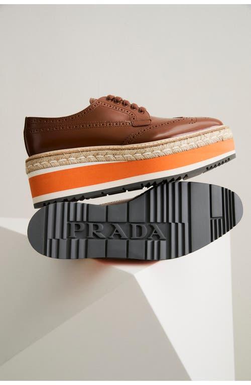 PRADA Dark Brown/Orange Leather Wingtip Oxfords Sneakers Shoes 8 1/2 EE PRADA Brogue Genuine Leather Wingtip Platform Derby Sneakers  main image 4