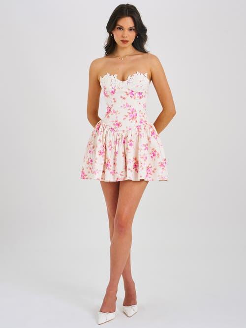 sacha red lace drop waist corset puffy mini dress Miss Circle Sacha Red Lace Drop Waist Corset Puffy Mini Dress : Target