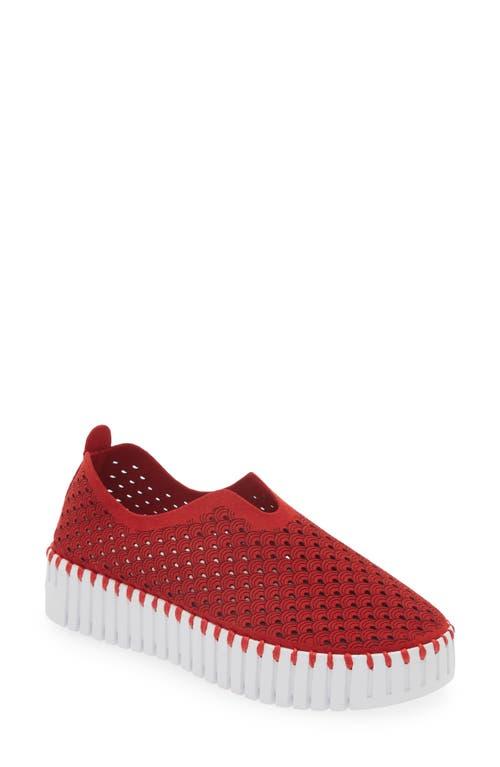 Nordstrom marachino ilse jacobsen shoes