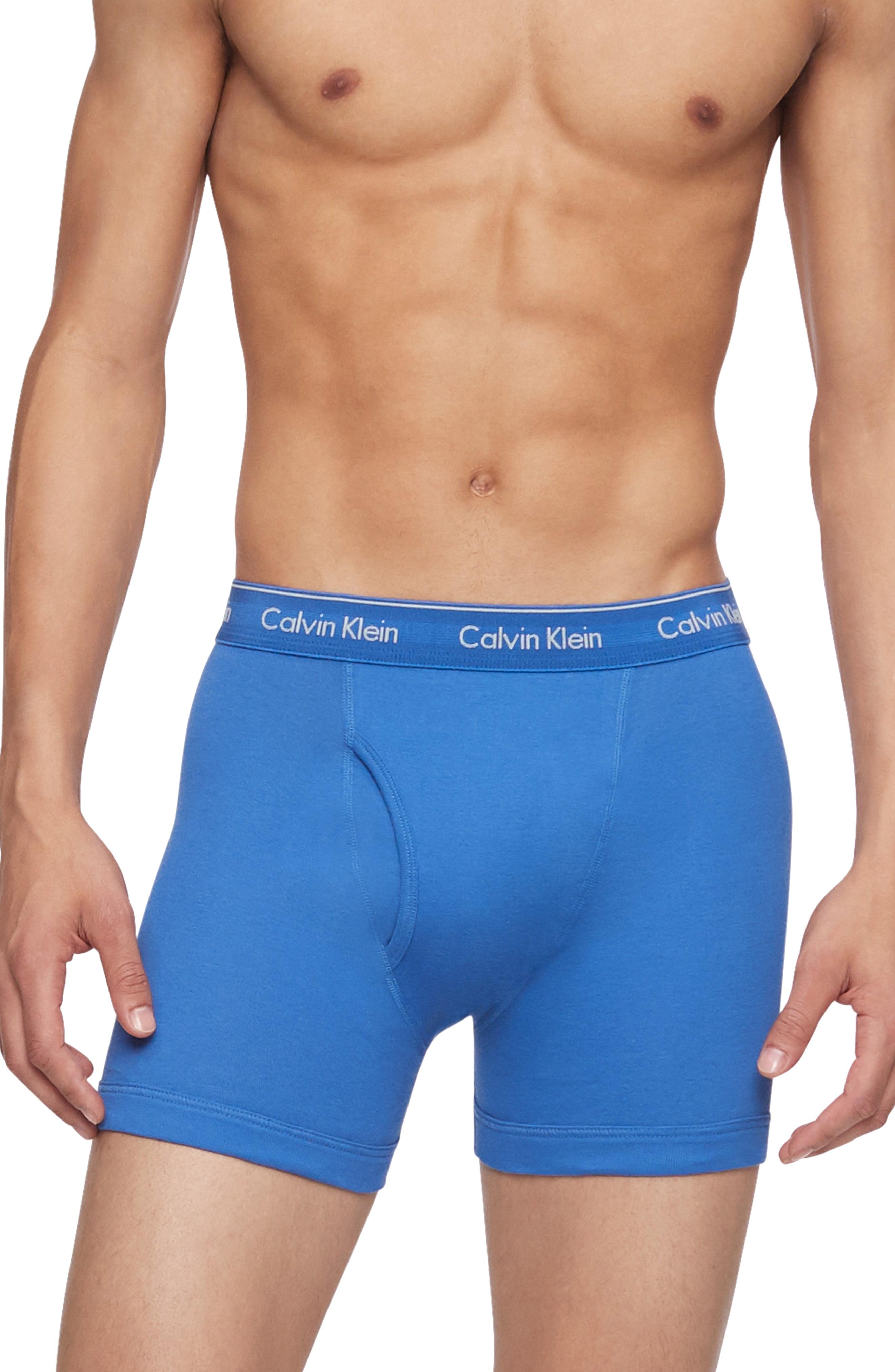 Calvin Klein Cotton 3-pack Boxer Briefs, Blue for Men ...