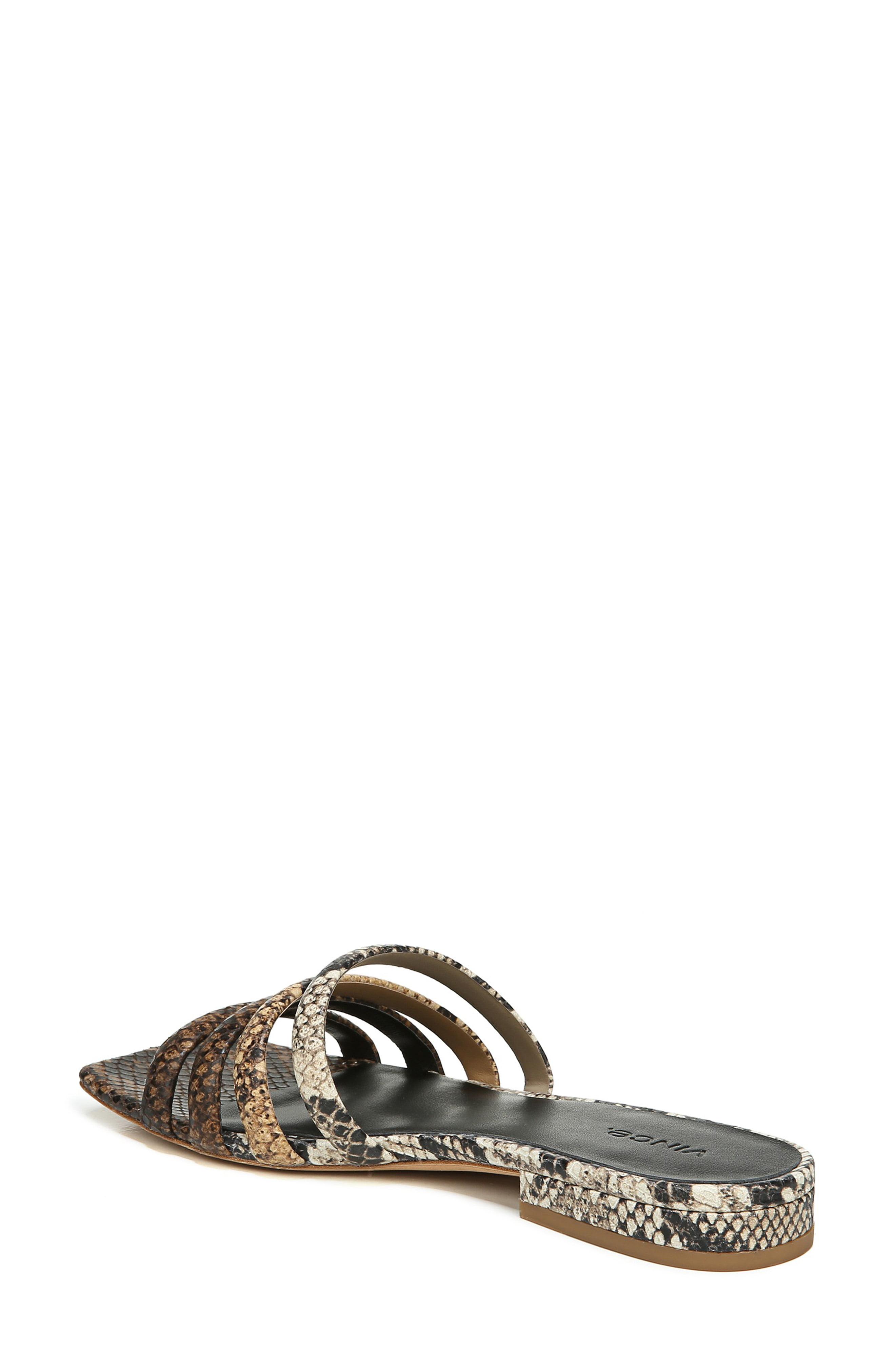 vince zahara slides