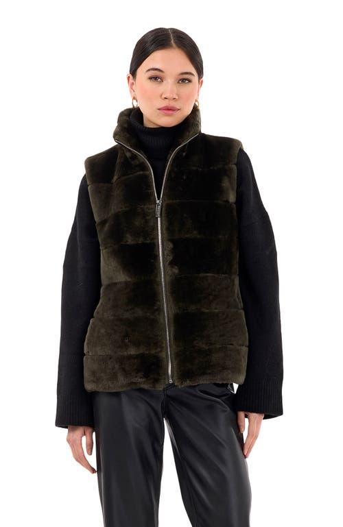 Gorski Waistcoats and gilets for Women Online Sale up to 50% off