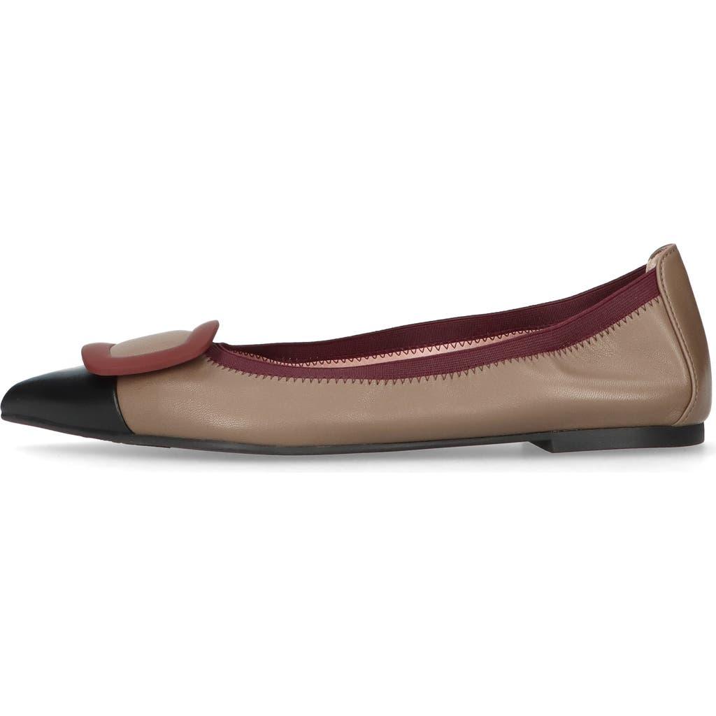 Pretty Ballerinas Ballet flats and ballerina shoes for Women
