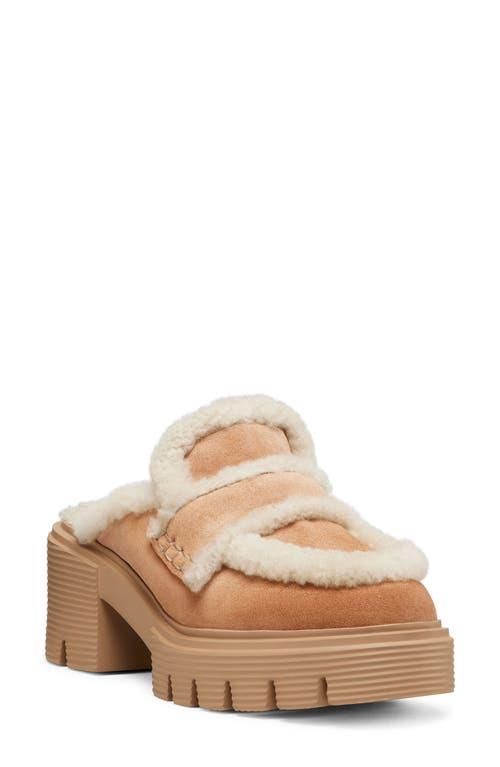 Stuart Weitzman Mule shoes for Women | Online Sale up to 80