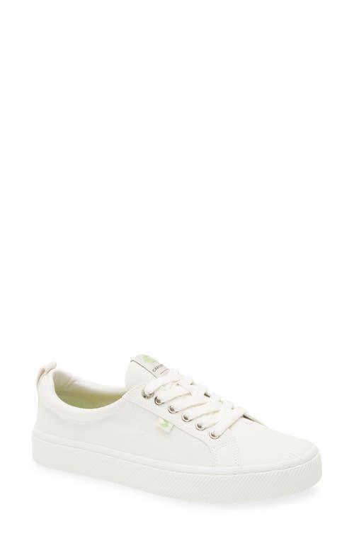 Cariuma Oca Cariuma Nordstrom CARIUMA Low-top Sneakers For Women