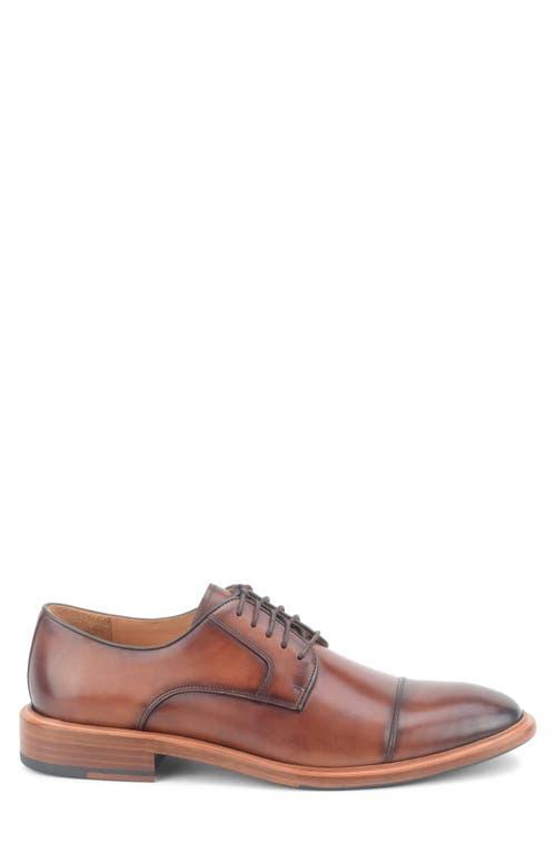 Warfield & Grand Oxford shoes for Men | Online Sale up to 51  display picture 1