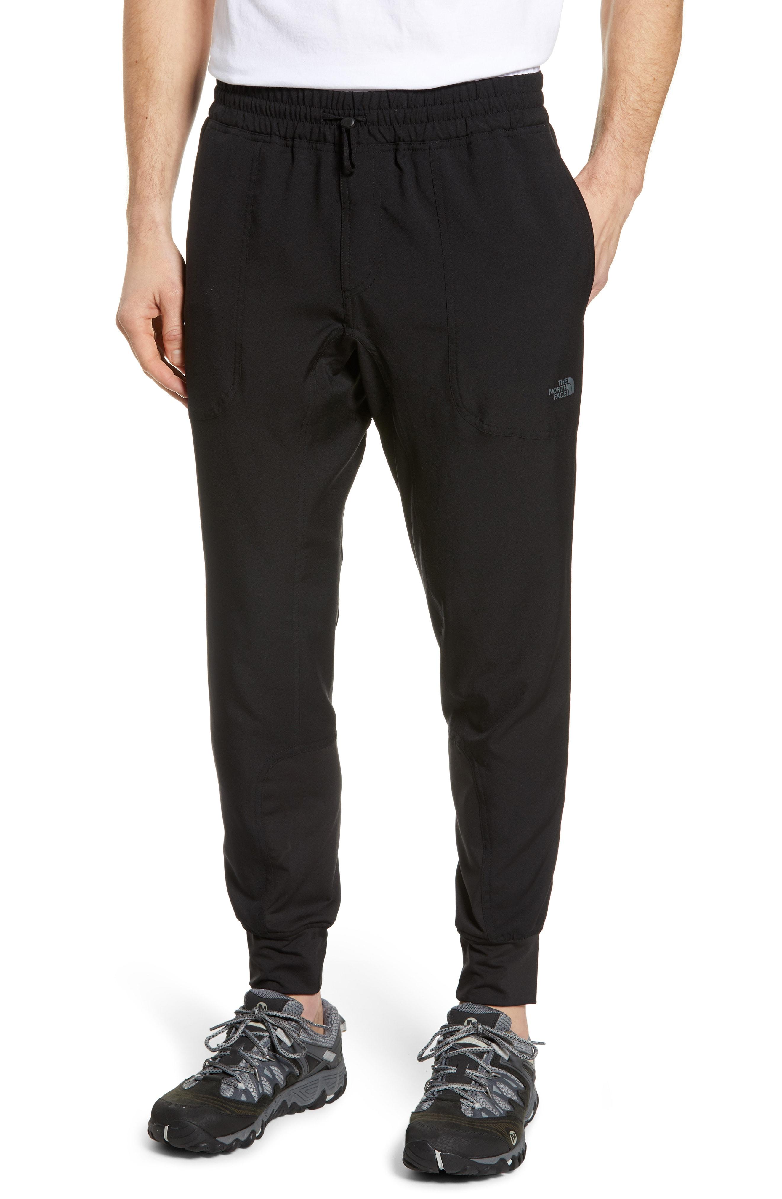 the north face ambition pants