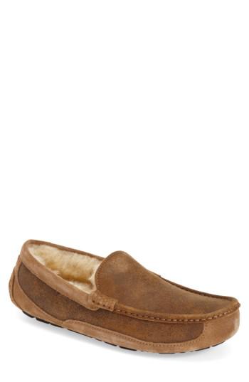 ugg ascot bomber slipper