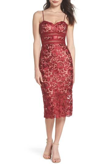 xscape lace midi dress