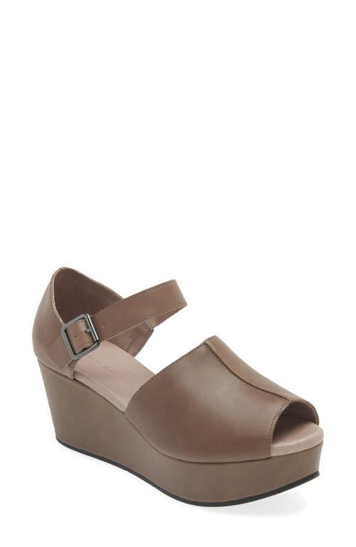 Chocolate blue wedges deals