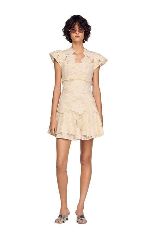 knee length dresses for ladies Sandro Rozen Two-Tone Lace Mini Dress Black/White Size 2  Celebrity Owned