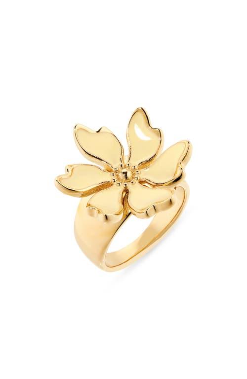 Oscar de la Renta Rings for Women | Online Sale up to 54