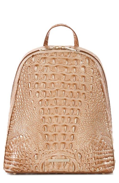 Brahmin dartmouth backpack deals