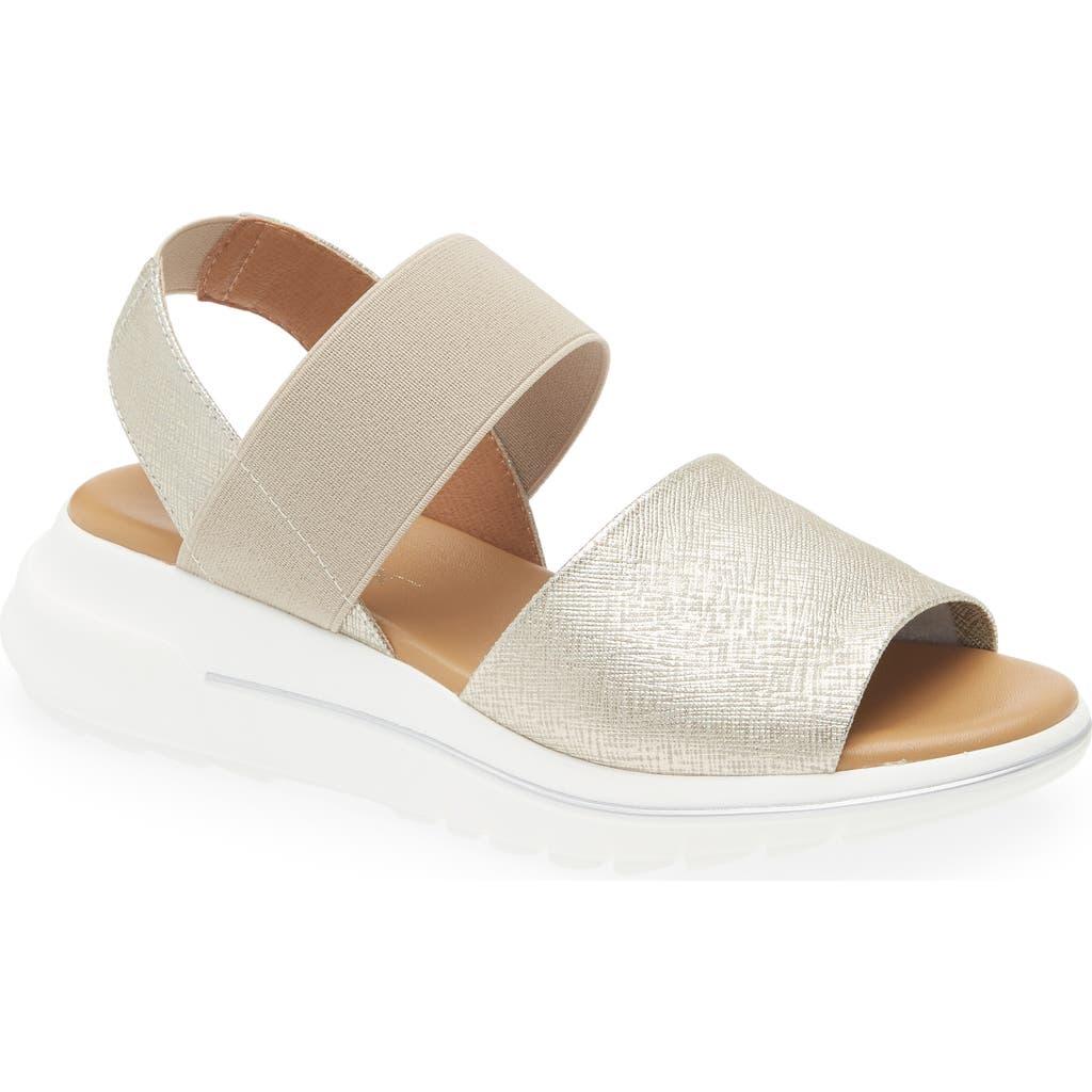 The Flexx Heels for Women Online Sale up to 75% off Lyst