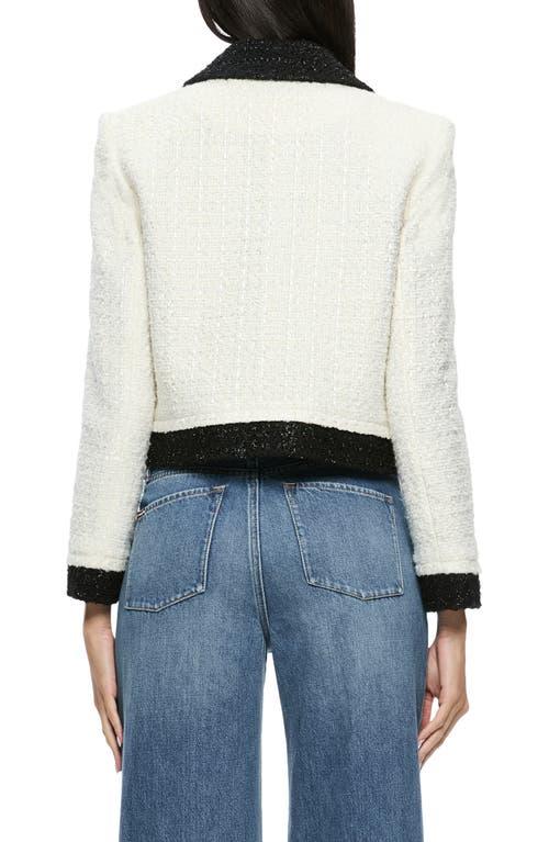 【送料&関税込】Moorer Olivia Techno Fabric Jacket Moorer Techno Fabric Jacket 42 IT | eBay