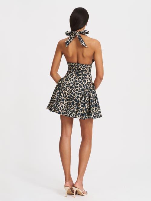 Miss Circle Mackenzie Cheetah Print Halter Linen Mini Dress in Black | Lyst