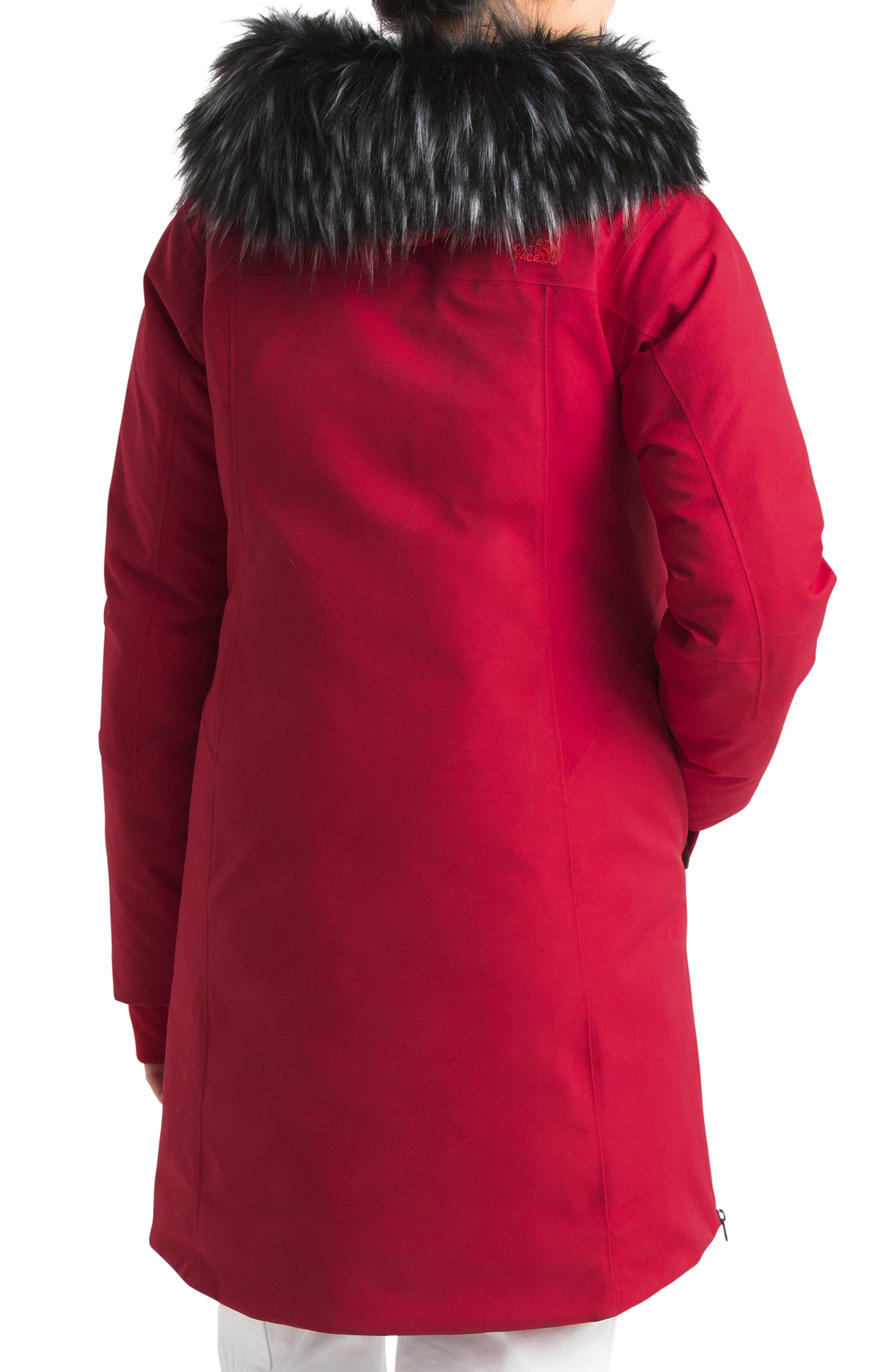 def down parka north face