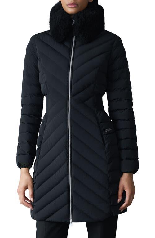 Ski Jacket Neiman Marcus Womens Winter Coats Neiman Marcus Jackets