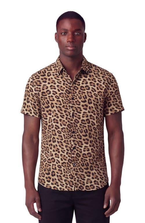 Leopard-Print Shirts for Men - Up to 50% off | Lyst