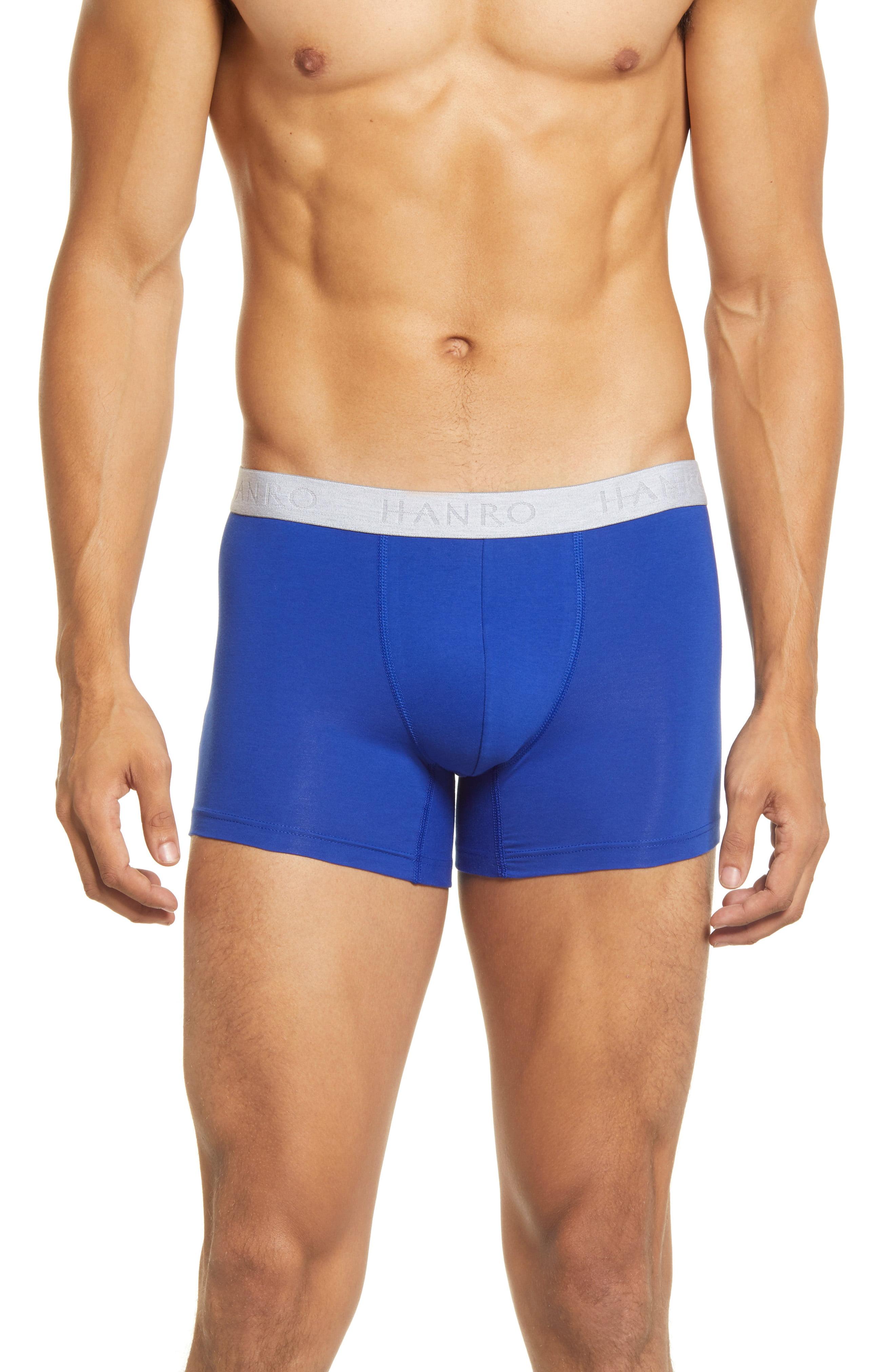 Hanro Cotton Essentials 2-pack Boxer Briefs, Metallic in Blue for Men ...