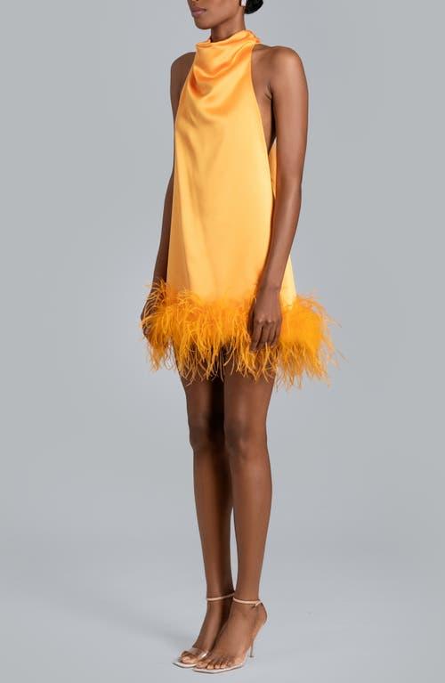 GRAIL Nolita Feather Trim Halter Satin Cocktail Minidress in Orange | Lyst GRAIL Nolita Feather Trim Halter Satin Cocktail Minidress in Orange | Lyst